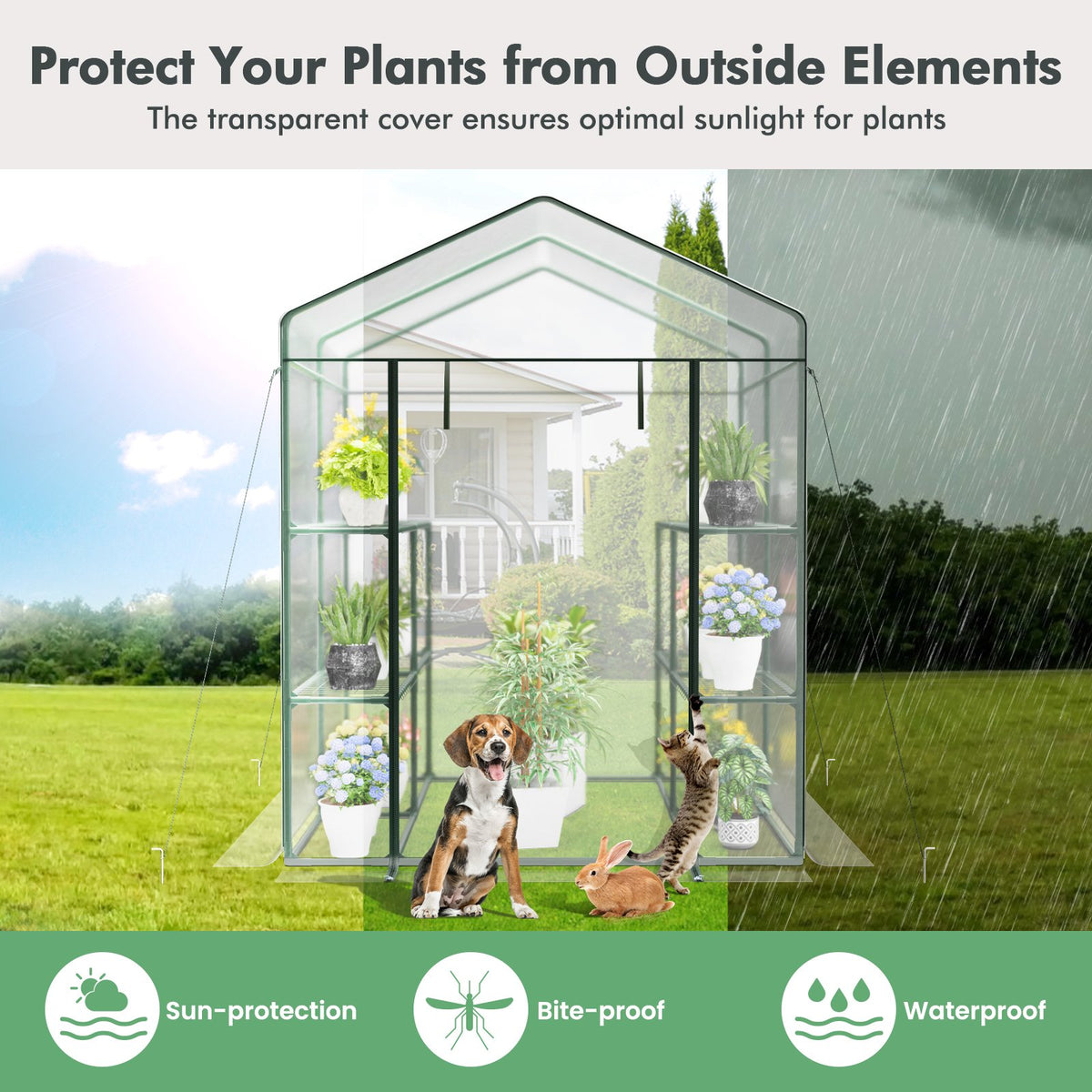 Walk-in Greenhouse with 3 Tiers 8 Shelves PVC Cover Roll-up Zippered Door view 6