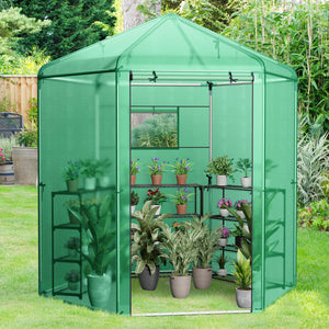 Walk-In Hexagonal Greenhouse with PE Cover and Metal Frame view 2