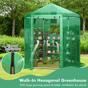 Walk-In Hexagonal Greenhouse with PE Cover and Metal Frame view 8