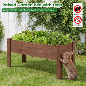 Wooden Raised Garden Bed with Legs Elevated Planter Box with Drainage Holes-Coffee view 9