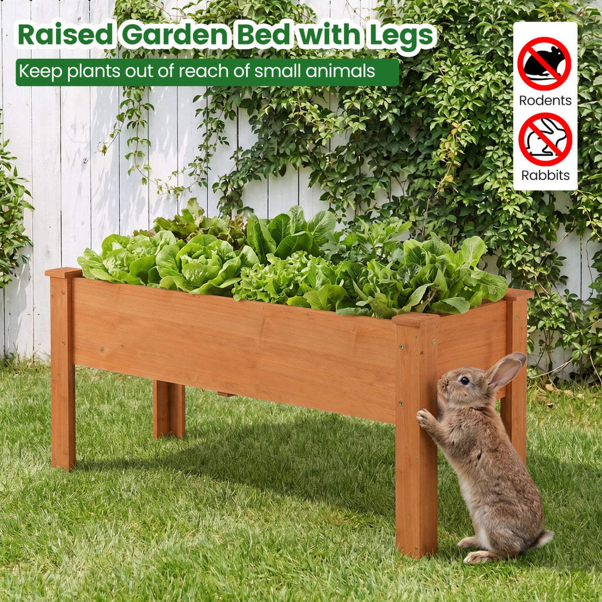 Wooden Raised Garden Bed with Legs Elevated Planter Box with Drainage Holes-Orange view 9