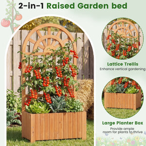 Wooden Raised Garden Bed with Trellis 48 Inch Outdoor Screen-Brown view 6
